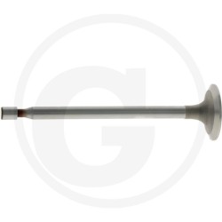 Soupape d'admission BRIGGS & STRATTON